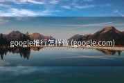 google推行怎样做 (google.com)