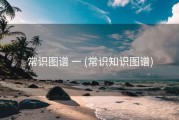常识图谱 一 (常识知识图谱)