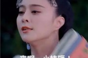 范冰冰名言启示：为何只有少数四字词成为成语？探索未来潜力新成语
