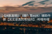 2024新发明！（微扑克wpk）辅助作弊【其实是真的有挂的】-哔哩哔哩