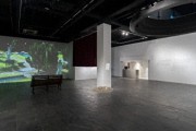 地方与讲述：首届中国当代影像艺术年鉴展在上海多伦现代美术馆举行