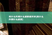 有什么作用 什么是数据共享 (有什么作用什么意思)