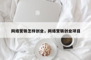 网络营销怎样创业，网络营销创业项目