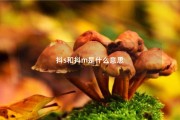 为什么我的抖音账号权重很低 (为什么我的抖音极速版没有赚钱功能)