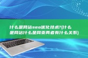 什么是网站seo优化技术? (什么是网站什么是网页两者有什么关系)