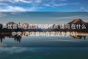 声优音响在武汉的培修点 请问 在什么中央 (声优音响在武汉专卖店)