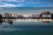 第三方教程！（微扑克wpk）辅助器下载[2024最新开发黑科技]-哔哩哔哩