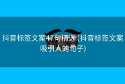 抖音标签文案47句精选 (抖音标签文案吸引人的句子)