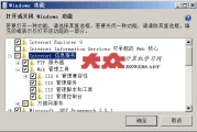 IIS详细失误代码以及解释 (iis 10.0详细错误怎么办?)
