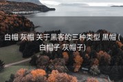 白帽 灰帽 关于黑客的三种类型 黑帽 (白帽子 灰帽子)