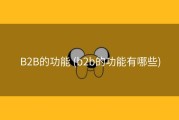 B2B的功能 (b2b的功能有哪些)