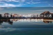 终于懂了!WePoKer辅助挂是什么!(透视)2024版教程-哔哩哔哩