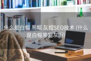 什么是白帽 黑帽 灰帽SEO技术 (什么是白帽黑帽灰帽)