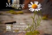 精美原创日签分享：早安励志话语，愿你开启美好一天