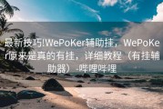 最新技巧!WePoKer辅助挂，WePoKer原来是真的有挂，详细教程（有挂辅助器）-哔哩哔哩