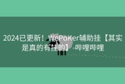 2024已更新！WePoKer辅助挂【其实是真的有挂的】-哔哩哔哩