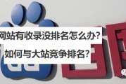 为什么我的网站有收录没排名？怎么办？？