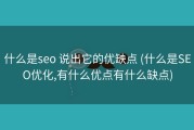 什么是seo 说出它的优缺点 (什么是SEO优化,有什么优点有什么缺点)