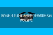 搜狗刷排名软件选哪家 (搜狗刷排名软件安全吗)