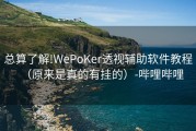 总算了解!WePoKer透视辅助软件教程（原来是真的有挂的）-哔哩哔哩