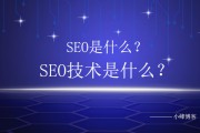 什么是SEO (什么是Seo搜索引擎优化)