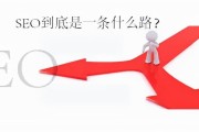 SEO关键词规划是什么 (seo关键词优化软件)