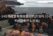 小红书经营有哪些更好的方法吗 (小红书经营有什么好处)