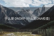 什么是 DNDRP (什么是DNA检查)