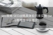 seo策略 SEO战略具体如何来实施 (seo策略是什么意思)