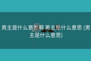 男主是什么意思啊 男主是什么意思 (男主是什么意思)