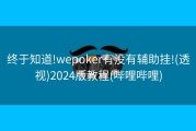 终于知道!wepoker有没有辅助挂!(透视)2024版教程(哔哩哔哩)