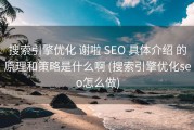 搜索引擎优化 谢啦 SEO 具体介绍 的原理和策略是什么啊 (搜索引擎优化seo怎么做)