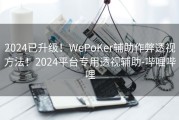 2024已升级！WePoKer辅助作弊透视方法！2024平台专用透视辅助-哔哩哔哩