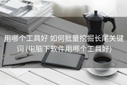 用哪个工具好 如何批量挖掘长尾关键词 (电脑下软件用哪个工具好)