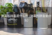 弹幕的拼音是什么啊 (弹幕的拼音是什么)