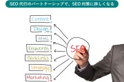 seo新手入门 seo入门步骤 (seo新手入门教程)