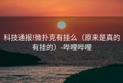 科技通报!微扑克有挂么（原来是真的有挂的）-哔哩哔哩