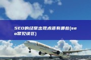 SEO的经常出现术语有哪些 (seo常见误区)