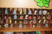 中班幼儿园观察记载模板三篇 (中班幼儿园观察记录30篇)