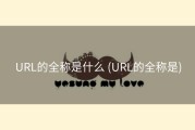 URL的全称是什么 (URL的全称是)
