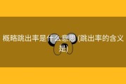 概略跳出率是什么意思 (跳出率的含义是)