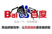 百度蜘蛛经常出现疑问 (百度蜘蛛经常死亡原因)