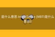 是什么意思 IntelliSense (MBTI是什么意思i)