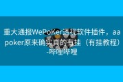 重大通报WePoKer透视软件插件，aapoker原来确实真的有挂（有挂教程）-哔哩哔哩