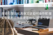 搜索引擎优化具体又该如何操作呢 搜索引擎的工作原理是什么 (搜索引擎优化seo怎么做)