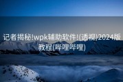 记者揭秘!wpk辅助软件!(透视)2024版教程(哔哩哔哩)