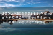 该要怎么出题?急急急！！！ 灰帽seo的判断题 是关于白帽seo 黑帽seo 如果要出问题 (该怎么出题目)