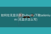 如何在无显示器的ubuntu下跑selenium (无显示怎么写)