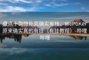 盘点十款微扑克确实有挂，WePoKer原来确实真的有挂（有挂教程）-哔哩哔哩
