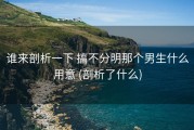 谁来剖析一下 搞不分明那个男生什么用意 (剖析了什么)